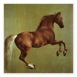 Wall art print Whistlejacket - George Stubbs