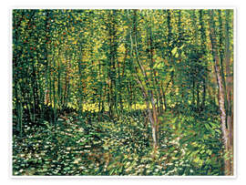 Wall art print Trees and Undergrowth - Vincent van Gogh