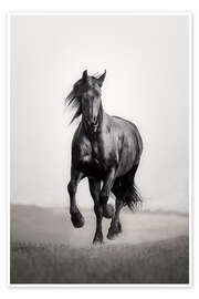 Wall art print Horse Friesian in the steppe - Monika Leirich