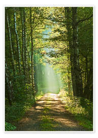 Wall art print Into the light - Moqui, Daniela Beyer