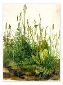 Wall art print Great Piece of Turf - Albrecht Dürer