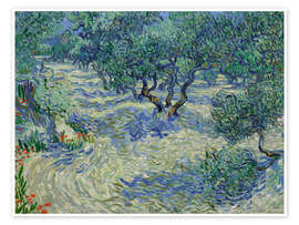 Wall art print Olive Orchard - Vincent van Gogh
