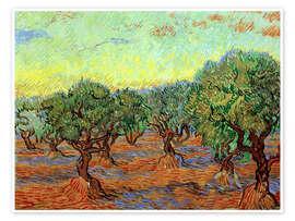 Wall art print Olive Grove II - Vincent van Gogh