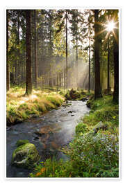 Wall art print Bode river in Harz, Germany - Dave Derbis