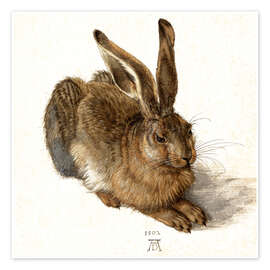 Wall art print Hare - Albrecht Dürer
