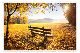 Wall art print Golden autumn forest with sunlight - Jan Christopher Becke