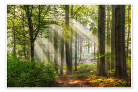 Wall art print Ways to relax - Moqui, Daniela Beyer