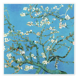 Wall art print Almond Blossom, 1890 - Vincent van Gogh