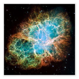 Wall art print Crab Nebula - NASA