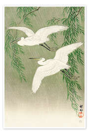 Poster White Herons - Ohara Koson