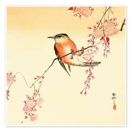Wall art print Red bird and cherry blossom - Ohara Koson