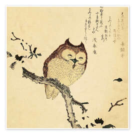 Poster Owl in blooming magnolia - Kubota Shunman