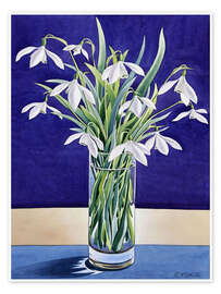 Wall art print Snowdrops - Christopher Ryland