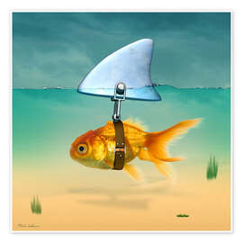 Wall art print Goldfish - Mark Ashkenazi