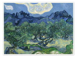 Wall art print Olive trees with the alpilles in the background - Vincent van Gogh
