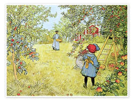 Wall art print The Apple Harvest - Carl Larsson