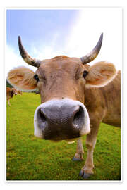 Wall art print Erna the cow