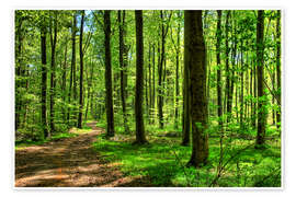 Wall art print Smell of spring in forest