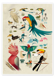 Wall art print Birds - Dieter Braun