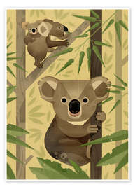 Wall art print Koala bear - Dieter Braun