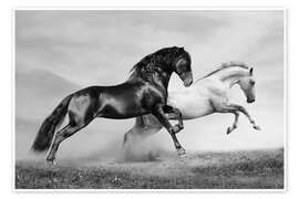 Wall art print Horses black and white