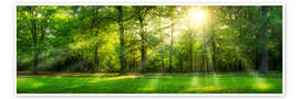 Wall art print Forest panorama in summer - Jan Christopher Becke