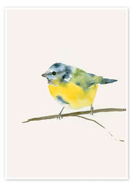 Wall art print Blue tit - Catherina Türk