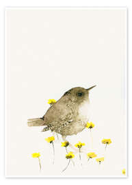 Wall art print Wren amongst yellow flowers - Catherina Türk