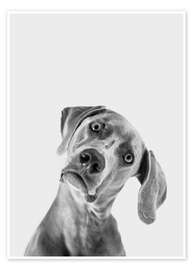 Wall art print Questioning look - Finlay and Noa