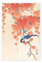 Poster Great tit on a paulownia branch