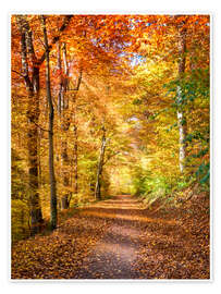 Wall art print Indian Summer in North America - Jan Christopher Becke