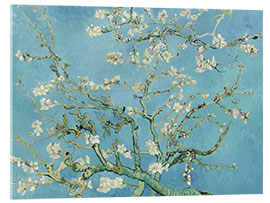 Acrylic print Almond blossom - Vincent van Gogh