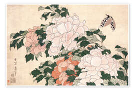 Poster Peonies and a Butterfly - Katsushika Hokusai