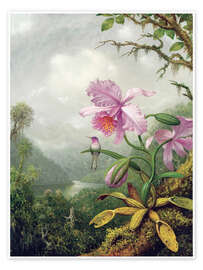 Wall art print Hummingbird perched on an Orchid Plant - Martin Johnson Heade