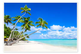 Wall art print White beach and palm trees in the tropics - Jan Christopher Becke