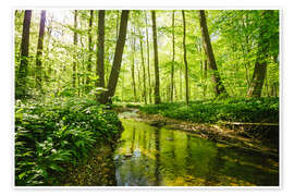 Wall art print Fresh green forest - Oliver Henze