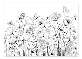 Colouring poster Poppies