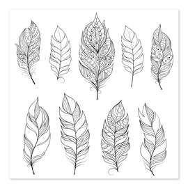 Colouring poster Feathers