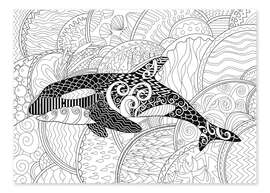 Colouring poster Orca whale