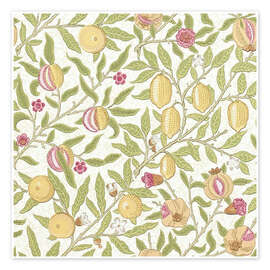 Wall art print Fruit or Pomegranate - William Morris