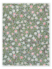 Wall art print Small pink and white flower - William Morris