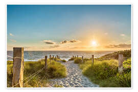 Wall art print Path through the dunes, Baltic Sea - Art Couture