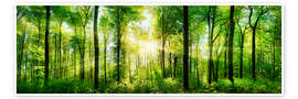 Wall art print Spring forest - Art Couture