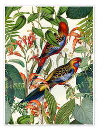 Wall art print Tropical Birds I - Andrea Haase