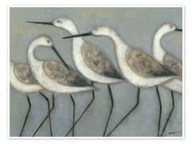 Wall art print Beach birds - Norman Wyatt