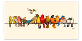 Wall art print Bird Menagerie I - Wendy Russell