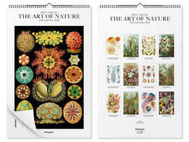Wall calendar Ernst Haeckel calendar - The Art of Nature 2026 - Ernst Haeckel