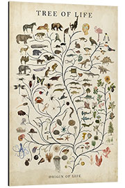 Aluminium print Tree of Life - Studio W