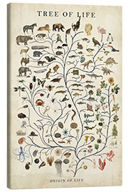 Canvas print Tree of Life - Studio W