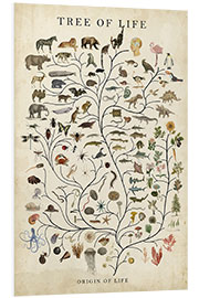 Foam board print Tree of Life - Studio W